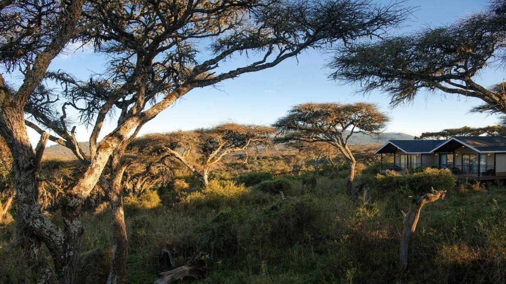 Karibu Camps And Lodges Lions Paw Ngorongoro カラトゥ エクステリア 写真